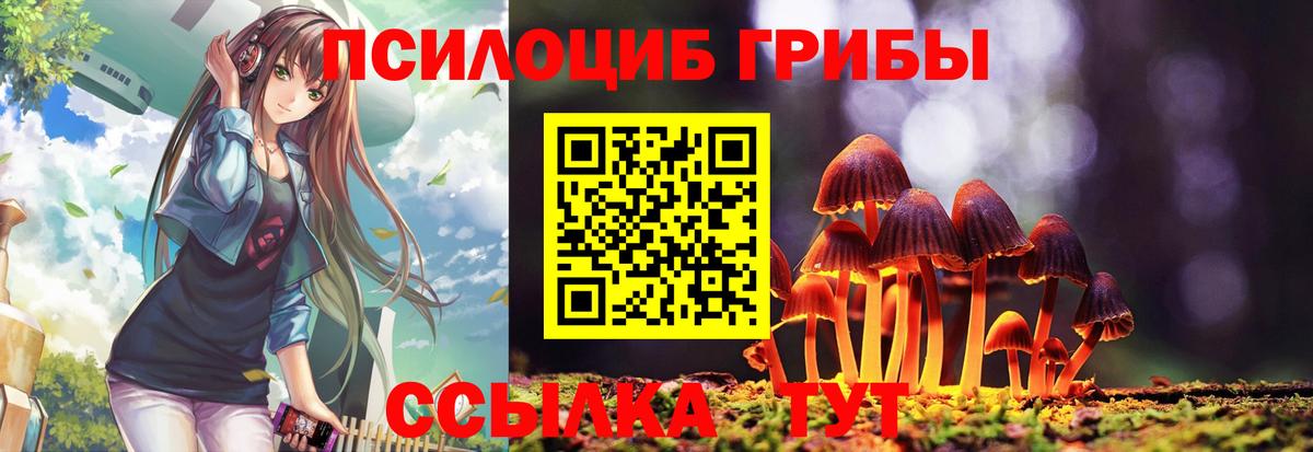 Можга  Псилоцибиновые грибы MAGIC MUSHROOMS  Вход с VPN  Псилоцибиновые грибы ЛСД 